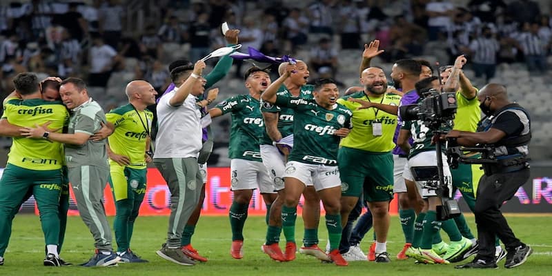 Palmeiras có lối đá thiên về cảm hứng Palmeiras có lối đá thiên về cảm hứng